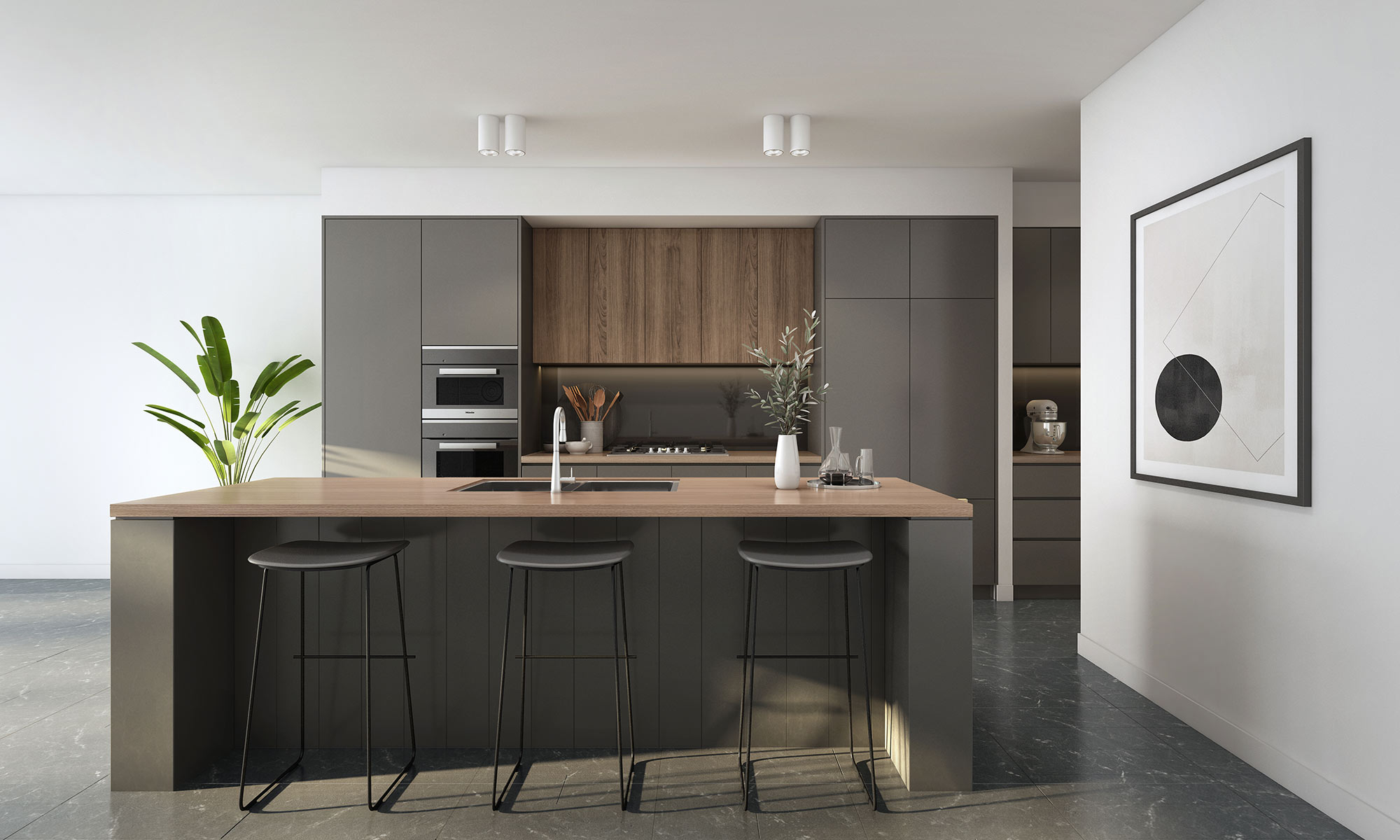 8894 2 667 Nepean Hwy, Frankston Interiors S19500a Kitchen 04 0822